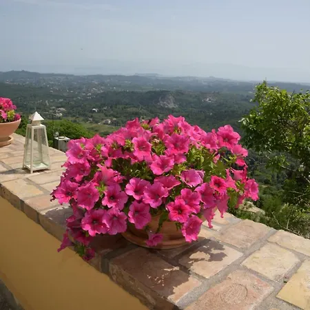 アパート Kontis Apts ペレカス