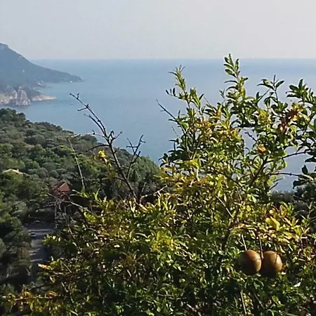 Kontis Apts アパート