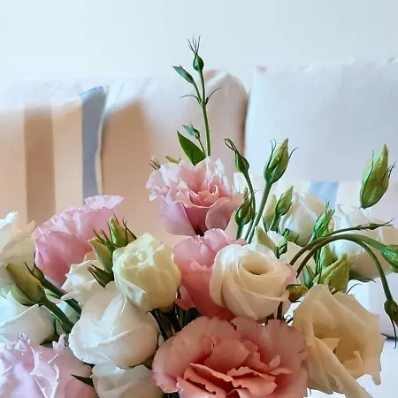 Kontis Apts * Pelekas