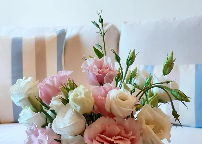 Kontis Apts * Pelekas